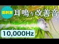 【耳鳴り治療音使用】低刺激 耳鳴り軽減・改善音 10,000Hz | 即効性 頭鳴りにも