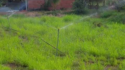 Béc tưới tầm trung BB922 || 0934170796 || Trần Gia