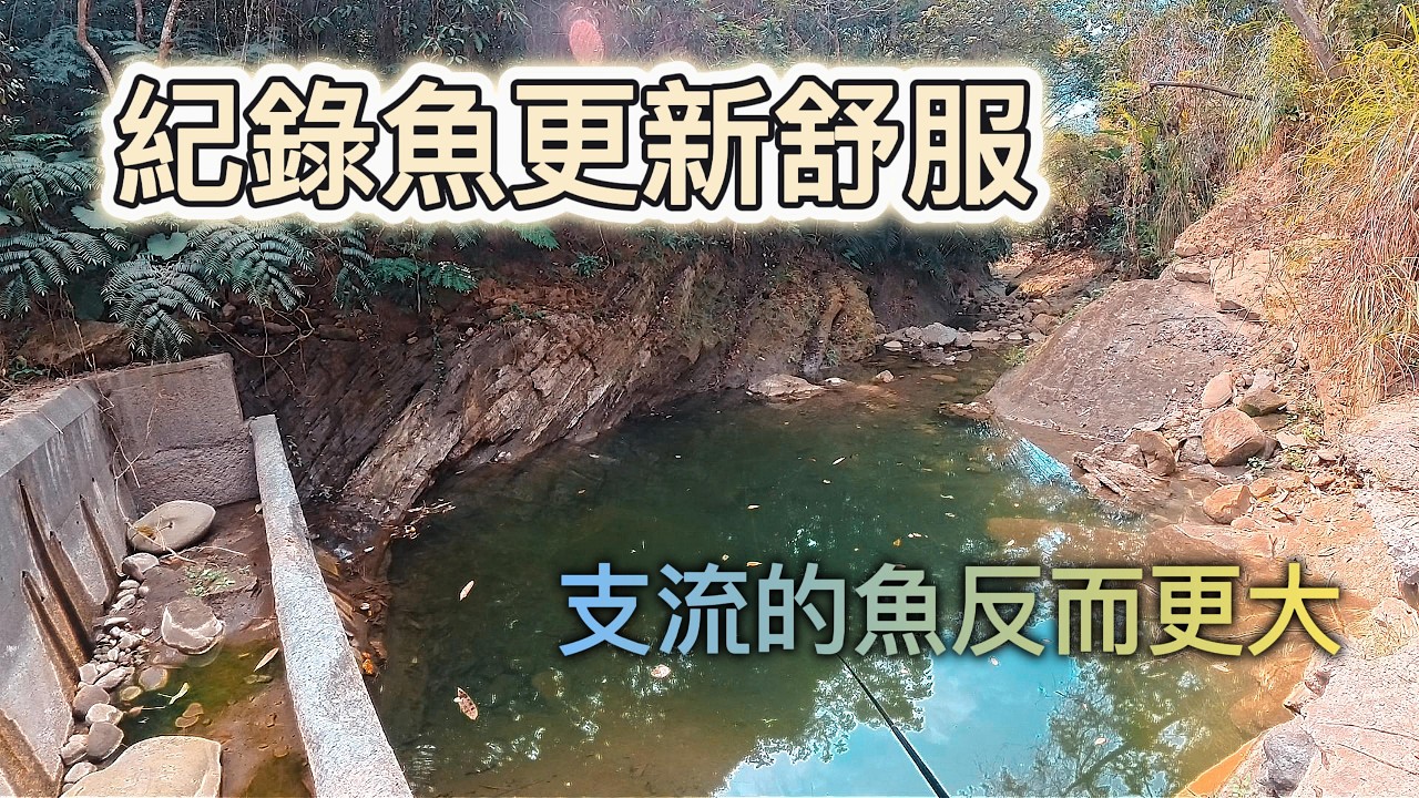 來試試懸崖下的魚 別人爬101 我爬懸崖邊 #苦命人 #小物釣り #馬口 #中部  #釣魚 #溪流 #fishing