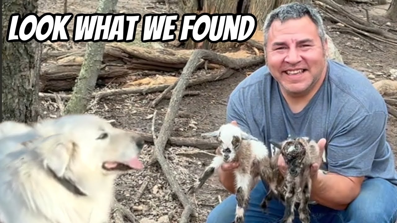 We Are Running Out Of Options!! Hopefully This Can Fix Our Problem!!￼￼