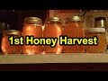 My First Honey Harvest - 6 lbs/60 oz  September 27, 2018