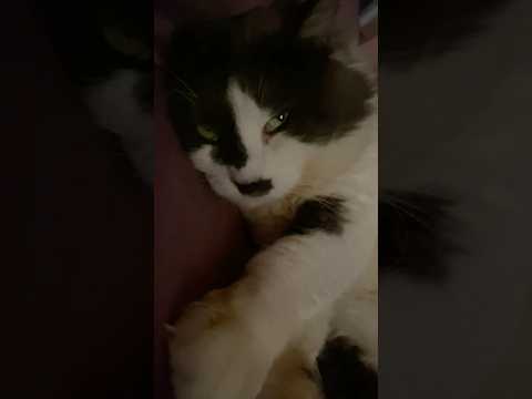صحاني وبعدها كمل نوم جنبي 