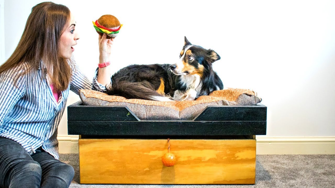 dog bed with storage