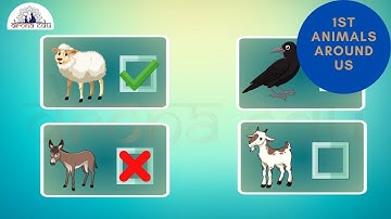ANIMALS AROUND US, 1ST STANDARD, EVS | DRONA EDU