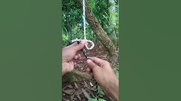 How to tie a Sheet Bend Knot #knot #short