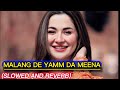 Malang de yam da meena  pastho song  slowedreverbak studio