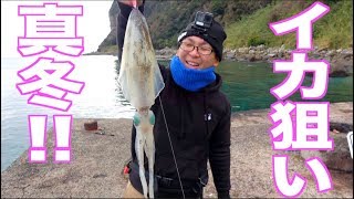 真冬の大物アオリイカ狙い！ポンコツ３人組珍道中！