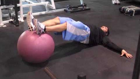DeFrancosGym.com - Exercise Index: Stability ball hamstring curls (hips up)