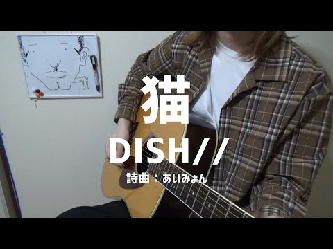 猫 / DISH//【弾き語り】