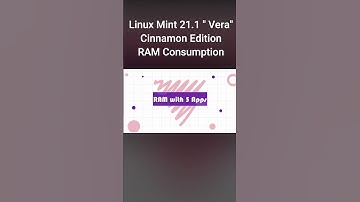 Linux Mint 21.1 "Vera" RAM Consumption : Cinnamon Edition