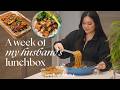 A week of husbands lunchbox ep 7  comforting easy recipes