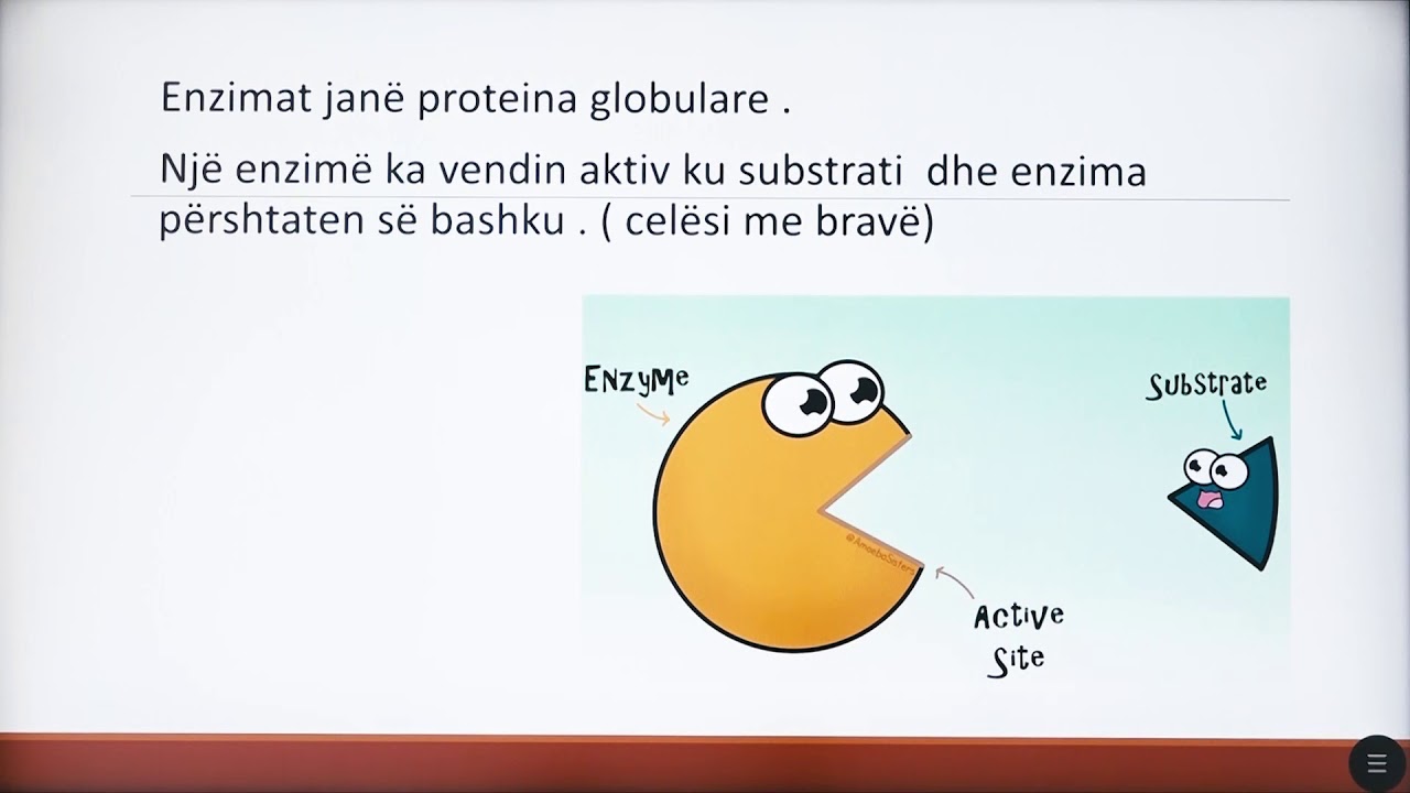 9 06 014 - Java e shtatë - Biologji - Enzimet dhe vitaminat