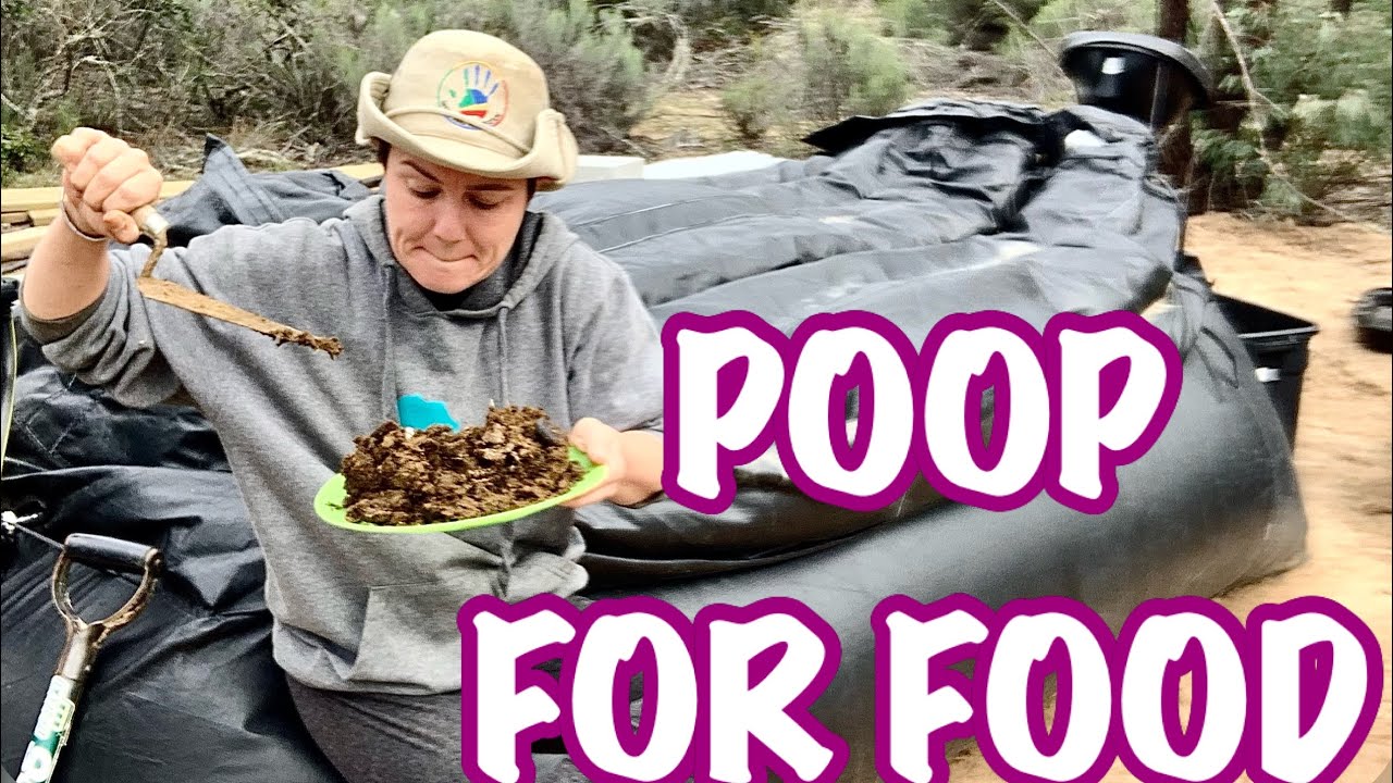 How to cook with POOP offgrid💩//Homebiogas System// Methane gas YouTube