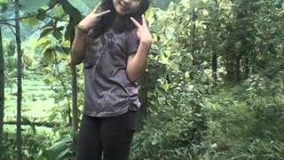 Download Lagu wali band'tomat'by ciprut \u0026 liea love all MP3