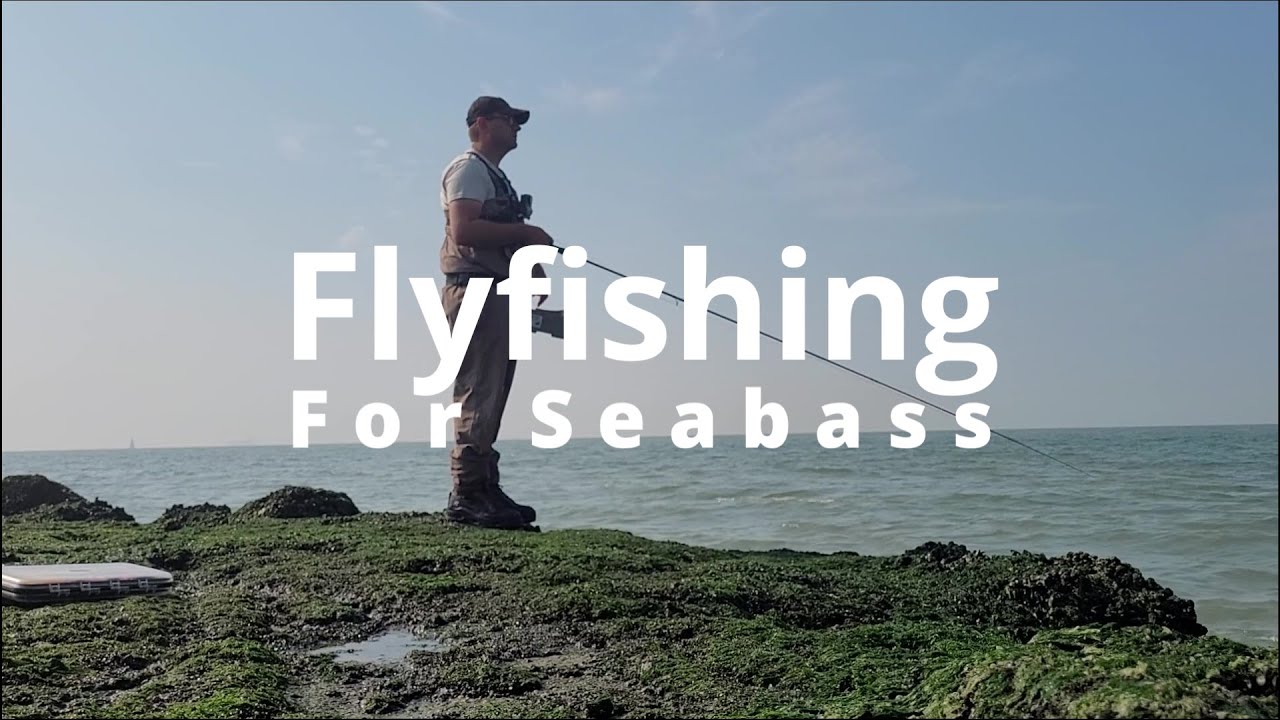 Flyfishing for Seabass on the Rocks