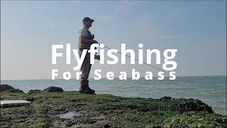 Flyfishing for Seabass on the Rocks