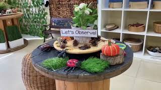 Discovery Learning in #PristineEarlyYears
