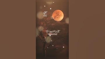 لا تخرج و تهرب | الراحة النفسية | القرآن الكريم