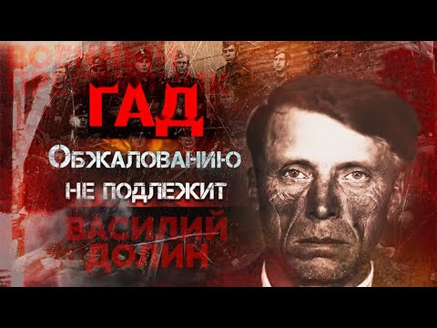 Найти И Разоблачить. История Военного Преступника Василия Долина