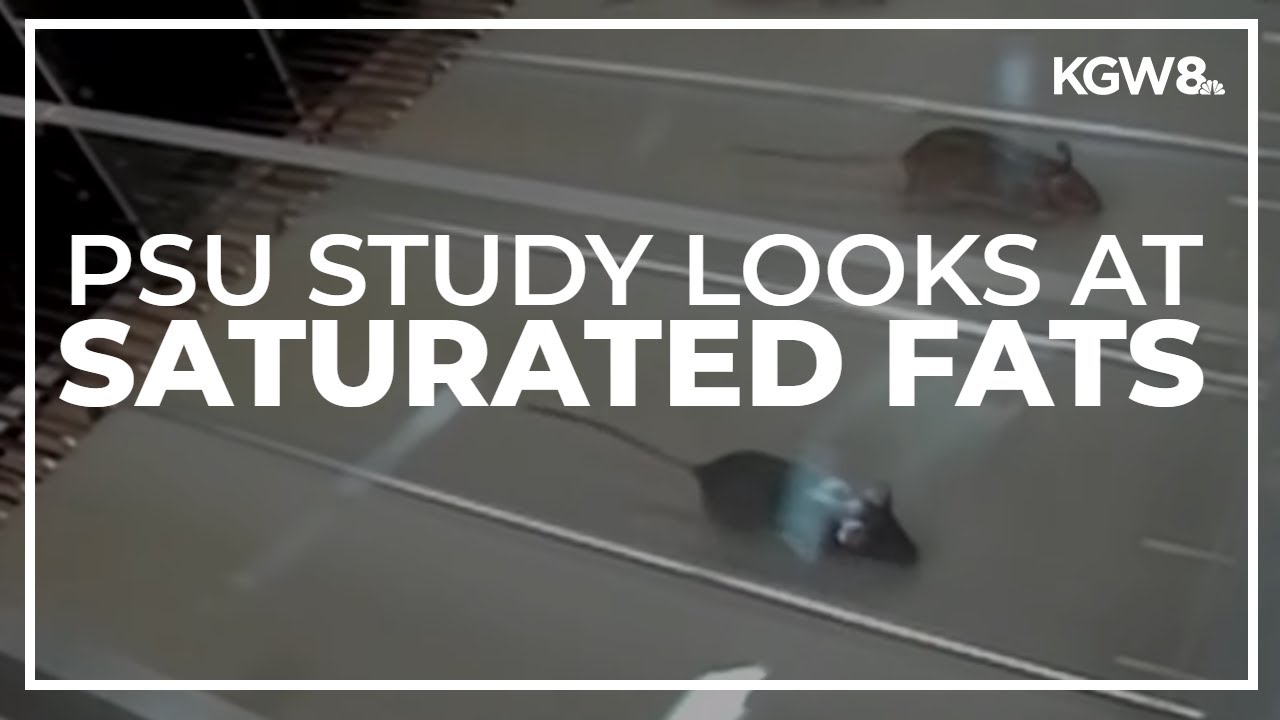 Portland State University study shows pros and cons of saturated fats