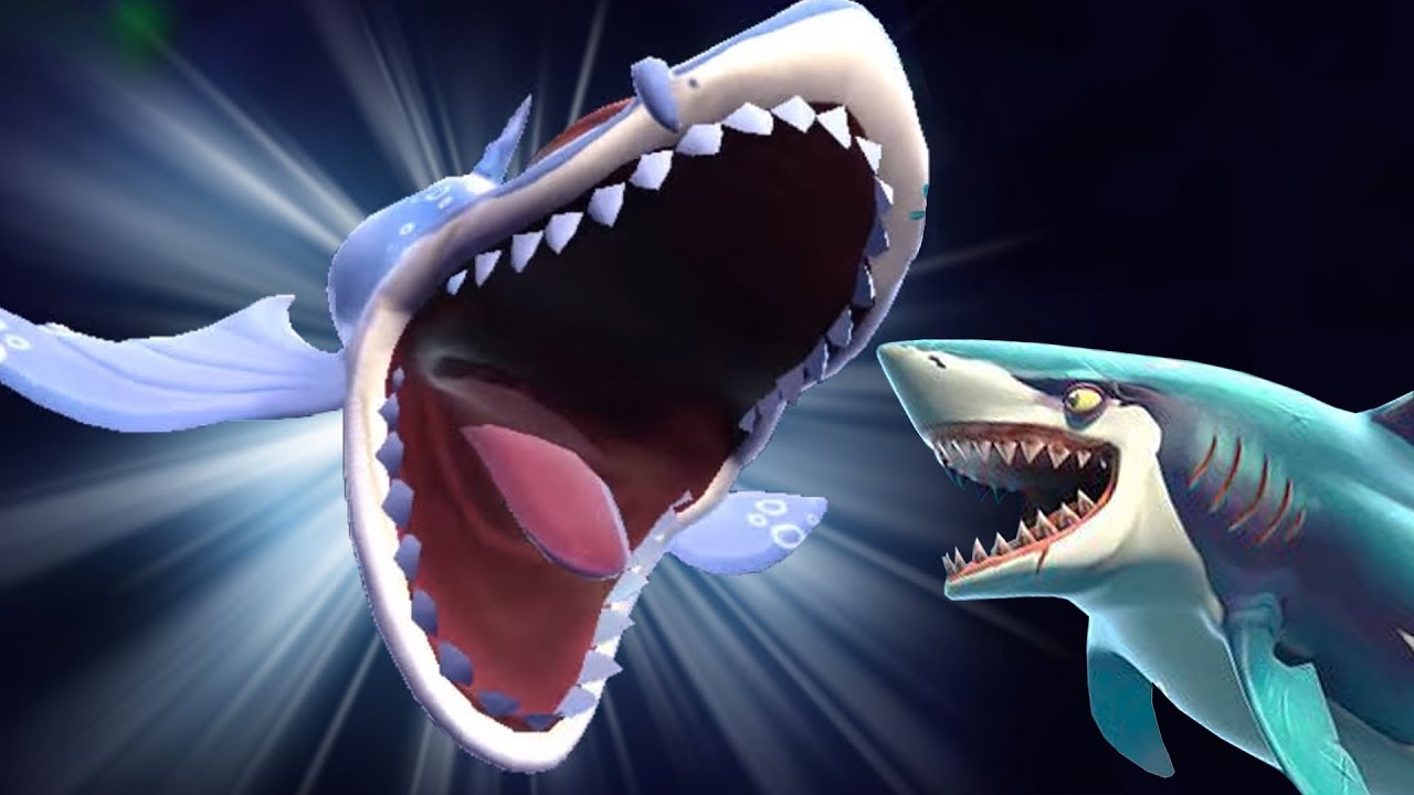 акула сражается