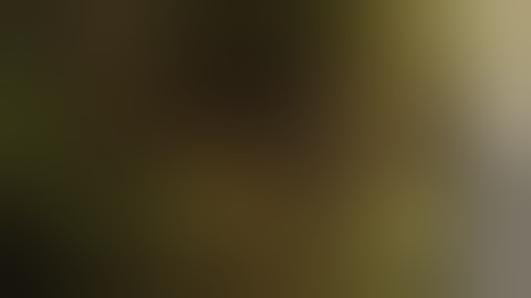 Kingdom Under Fire: Circle of Doom Xbox 360 Trailer -