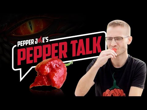 Colton eats a DRAGON'S BREATH PEPPER (2,000,000 SHUs) | Pepper Joe's Pepper Talk - video from Pepper Joe