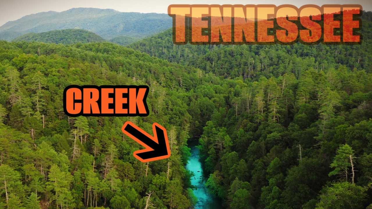 I Went Fishing in a Mountain Creek!