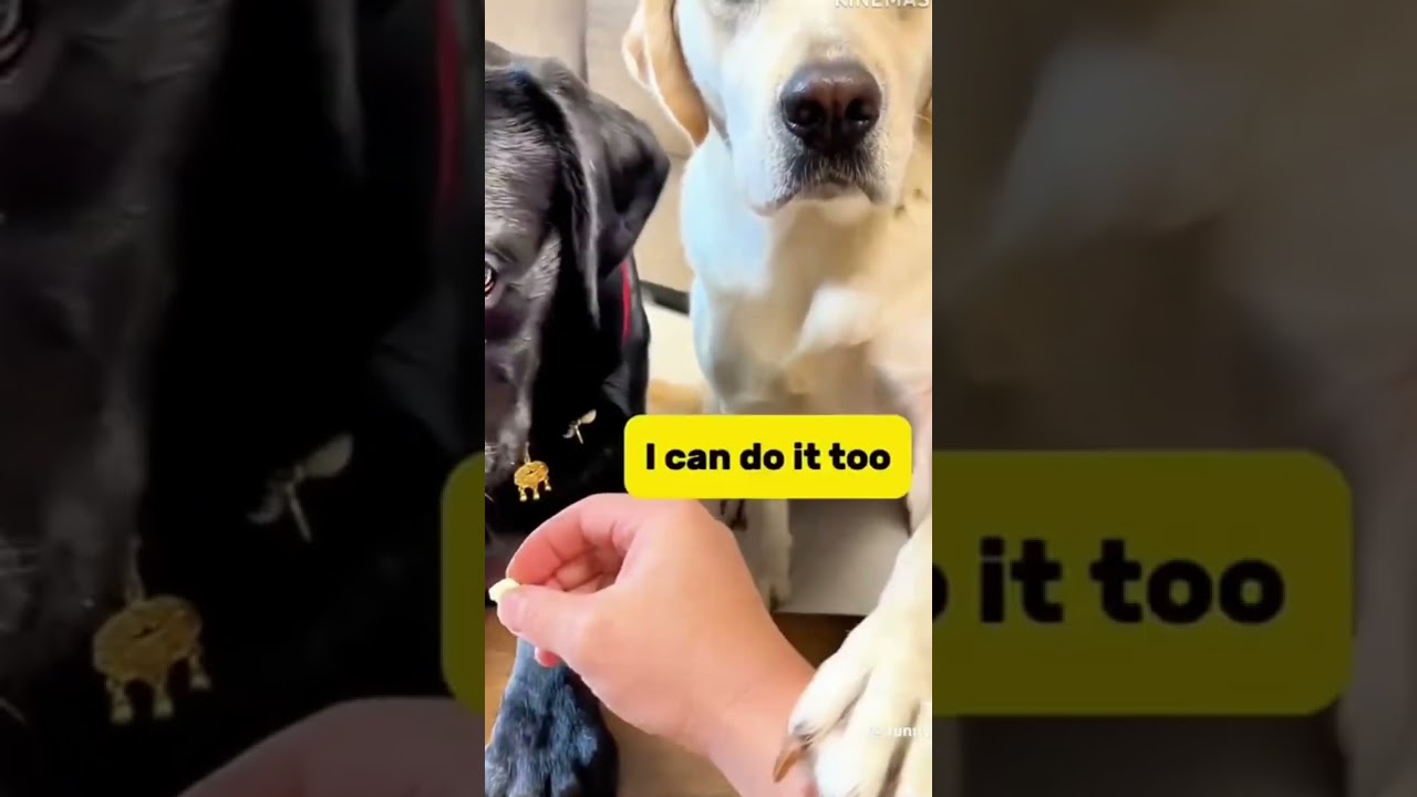 what the f    hahahaha 