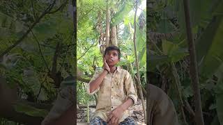#Ankit kumar Raj