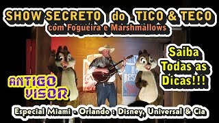 Tico e Teco, Fogueira e Marshmallows Chip & Dale Campfire Show, AntigoVisor E03