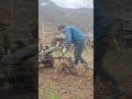 Tractor Plowing the Field 🌾 | Modern Farming Made Simple #FarmLife
