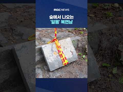 숲에서 나오는 '알몸' 복면남‥ 숲 속 헤매는 경찰 #Shorts (MBC뉴스)