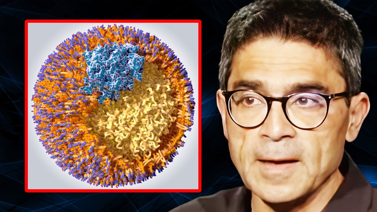 Cardiologist Explains Why LDL Is The Other GOOD Cholesterol Your cardiologist-explains-why-ldl-is-the-other-good-cholesterol-your