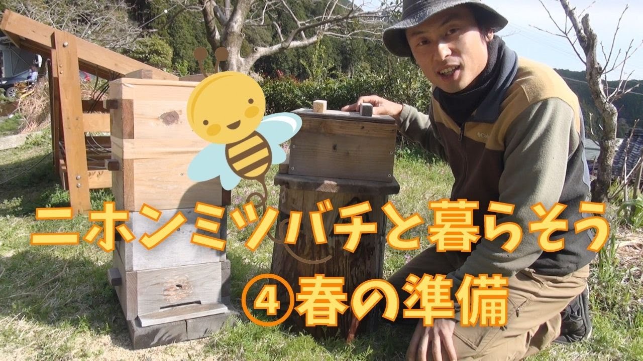 ニホンミツバチと暮らそう ④春です春の分蜂の準備 - YouTube