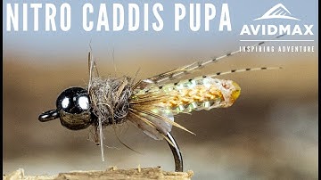How to tie the Nitro Caddis Pupa | AvidMax Fly Tying Tuesday Tutorials
