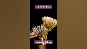 سورة الاخلاص عبد العزيز سحيم