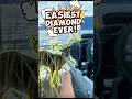 EASIEST DIAMOND EVER The Hunter Call Of The Wild