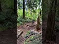 #mountainbikejumps #bikelife #foryoupage #foryou