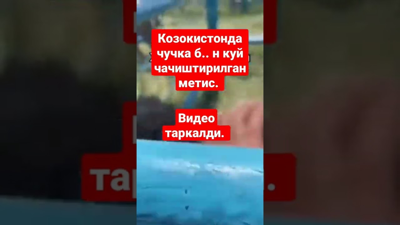 КОЗОКИСТОНДА ЧУЧКА Б.. Н КУЙ ЧАЧИШТИРИЛГАН МЕТИС ХАЙВОН.