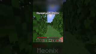 зато красивый вид | #games #meme #minecraft #бедрок #пе #mine #minecraftmemes #приколы #bedrock