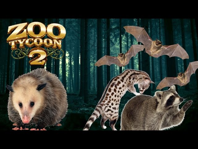 Zoo Tycoon 2 mini Carnivore Dinosaur Exhibit Speed Build (spinoraptor) -  ekok on Twitch