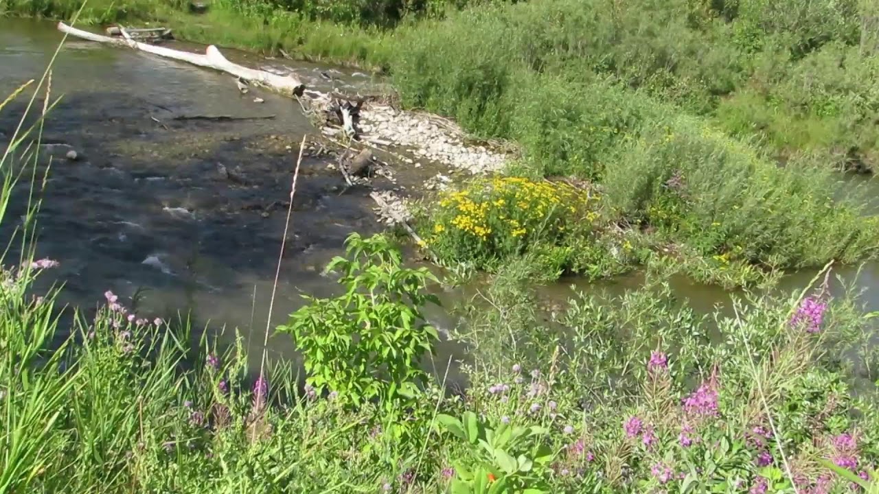 LIVE ELECTRONICA MIX; Music Inspired By Techno, House, Electro and Ambient; For Energy + Movement