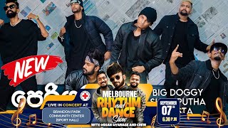 🟡 PERIYAMULLA (පෙරියමුල්ල) Dance Cover | Big Doggy , Costa & Shan Putha | 2023 NEW