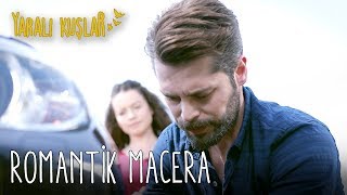 Romantik Macera | Yaralı Kuşlar 41. Bölüm