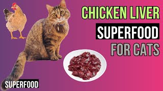 Benefits of Chicken Liver for CATS- a GREAT Superfood! by Superfoods for CATS 253 views 1 month ago 4 minutes, 45 seconds