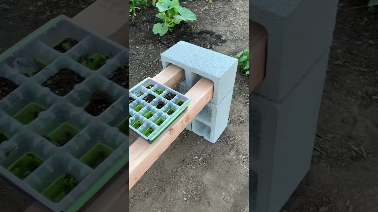 5 minute DIY seed starting table. What could be better? 