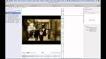 Tutorial 3-Importing Documents into the Project