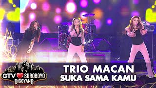 Trio Macan - Suka Sama Kamu | GTV Love Suroboyo Digoyang