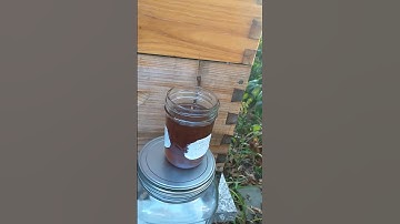 Feeling the flow. #givemehoney #mybeesgotsweets @AMG2025-Global